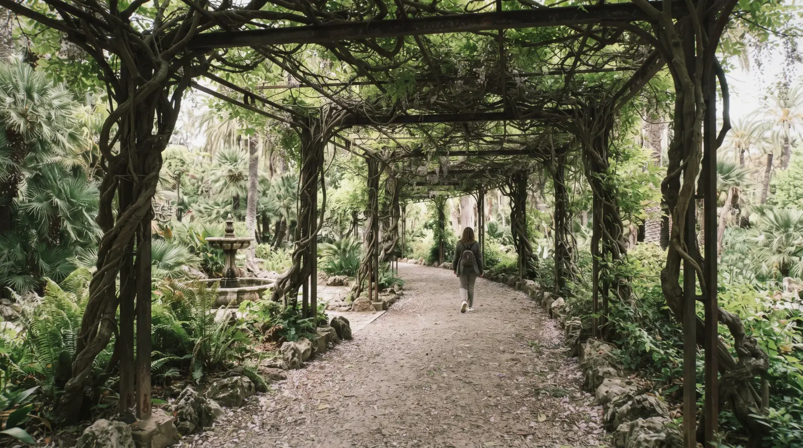 The iron pergola under purple wisteria and the palm avenue of La Concepción in April light, Málaga botanical garden