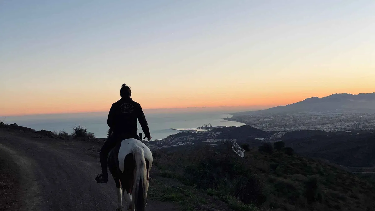 Riders on horseback on a pine trail above the city on a one-hour horse ride in the Montes de Málaga