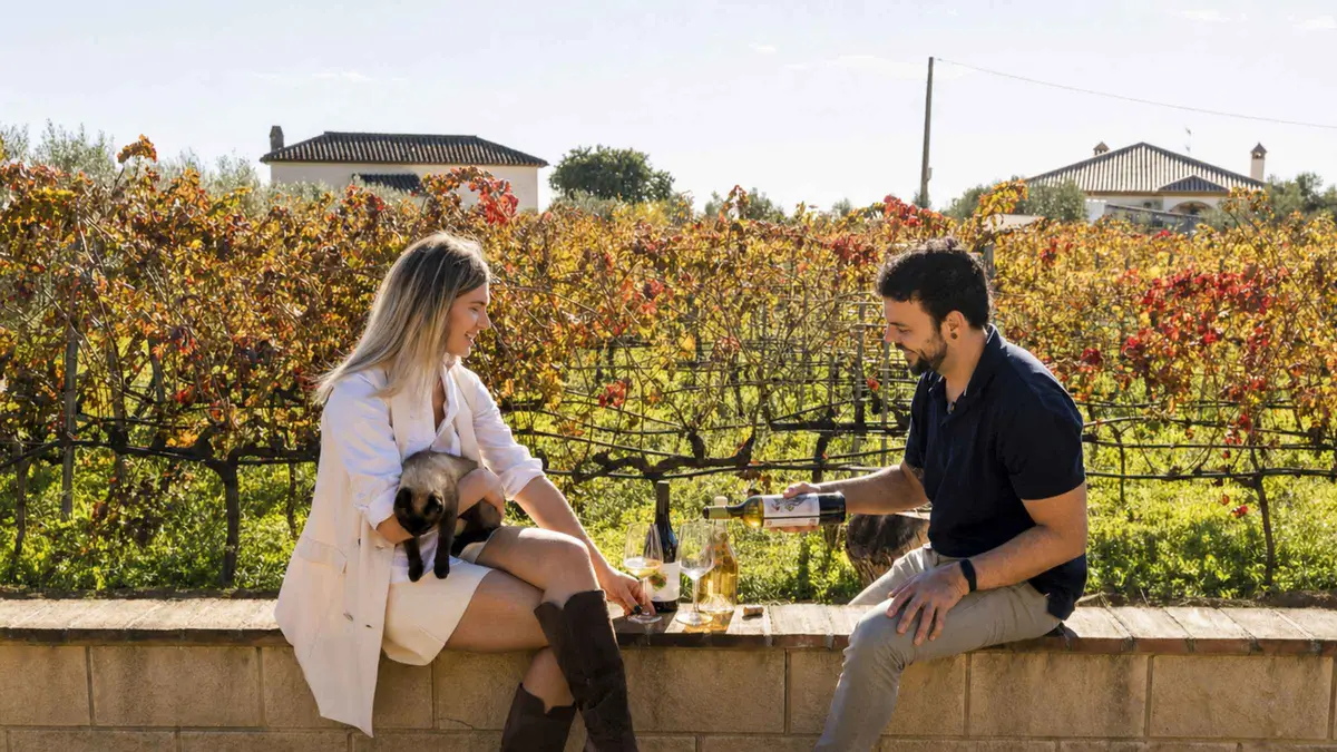 Rows of organic vines and a tasting table at a winery visited on a wine tour from Malaga