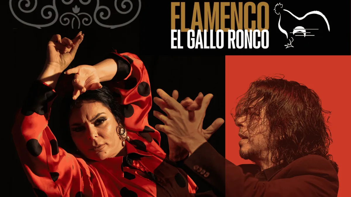 Intimate tablao stage with a guitarist and dancer at El Gallo Ronco near Calle Larios, Malaga